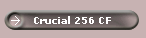 Crucial 256 CF