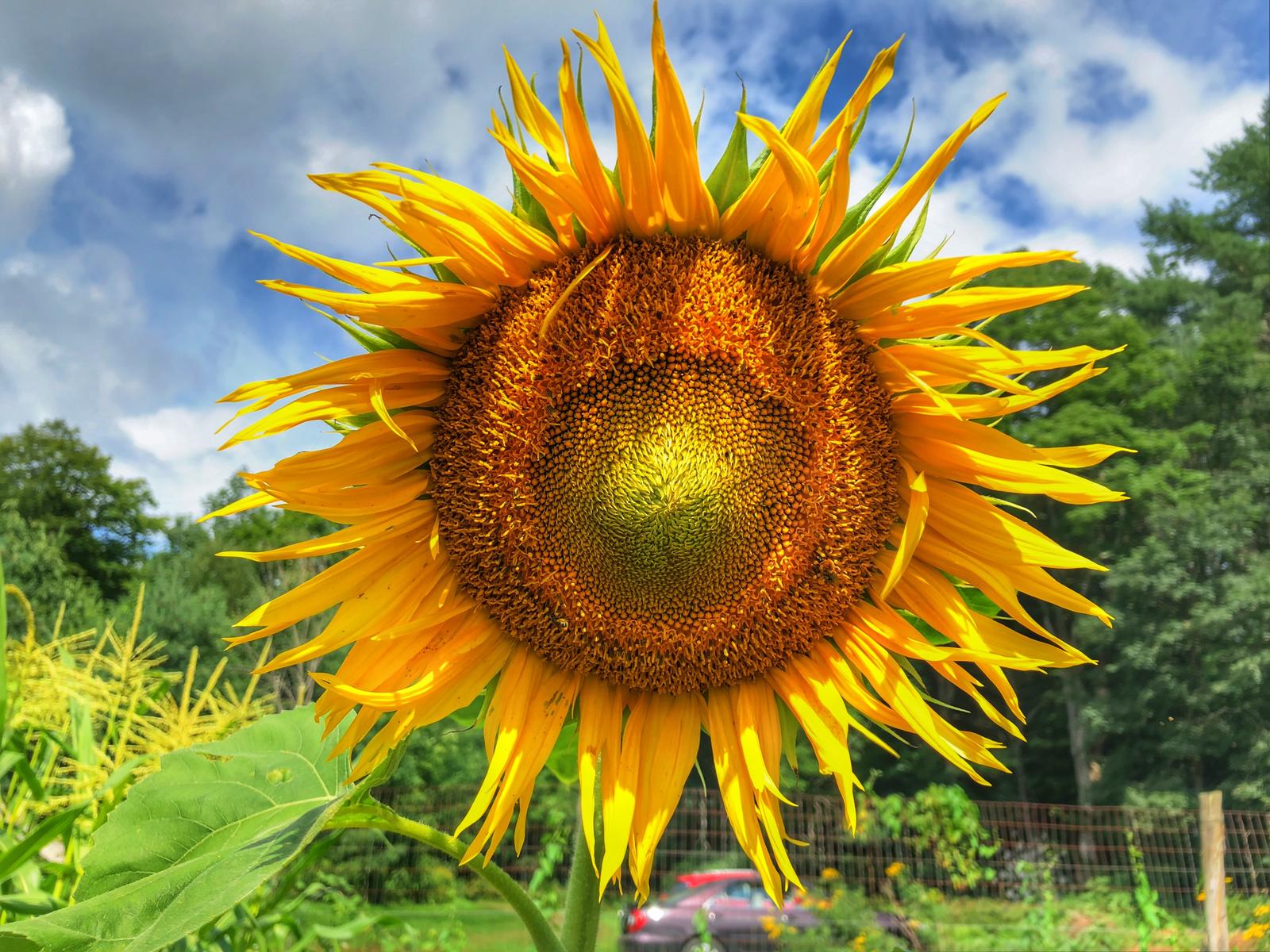 Click image for larger version  Name:	 Views:	0 Size:	322.5 KB ID:	155190