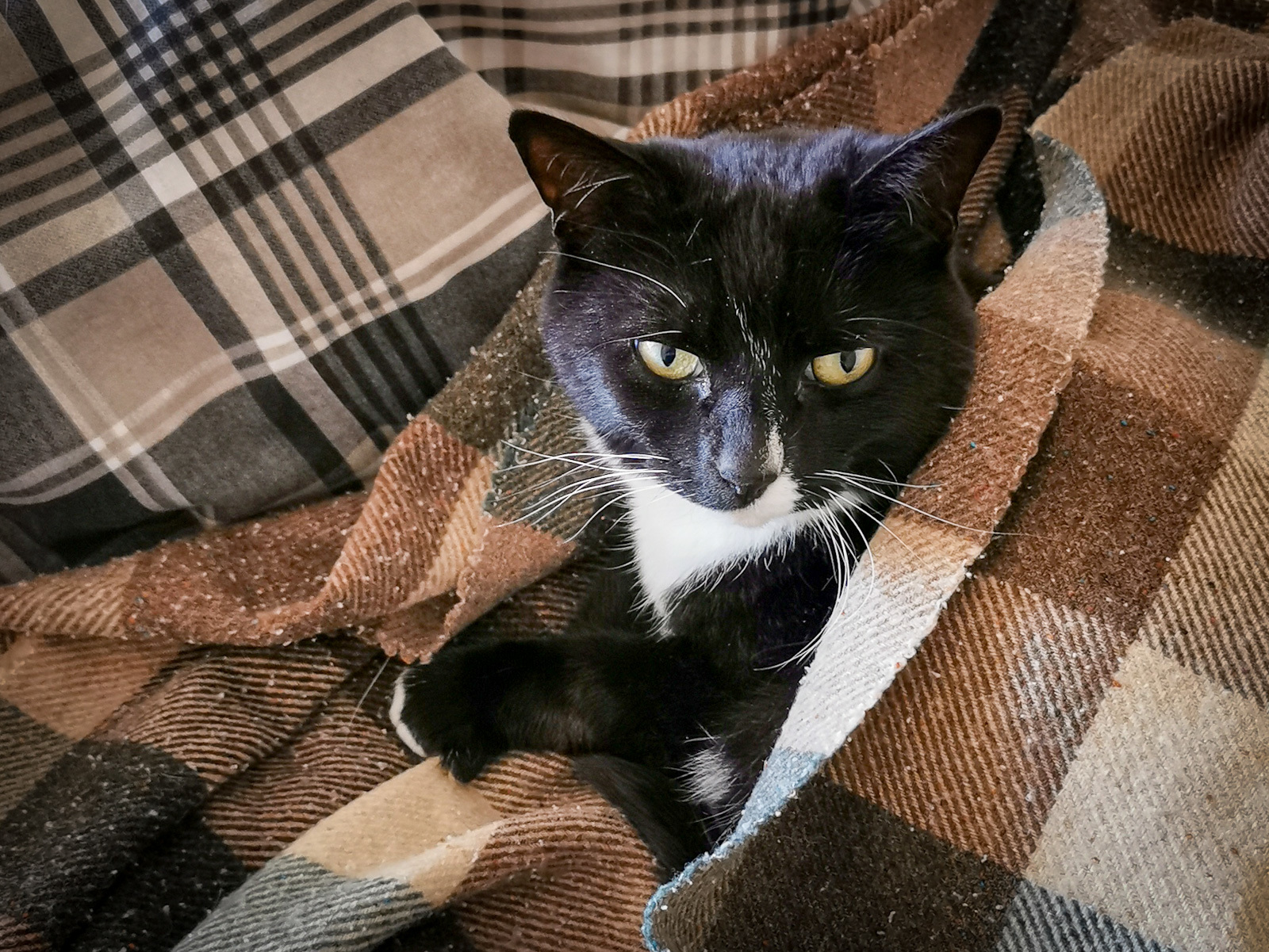 Click image for larger version

Name:	IMG_20191107_150559.jpg
Views:	70
Size:	831.4 KB
ID:	153235