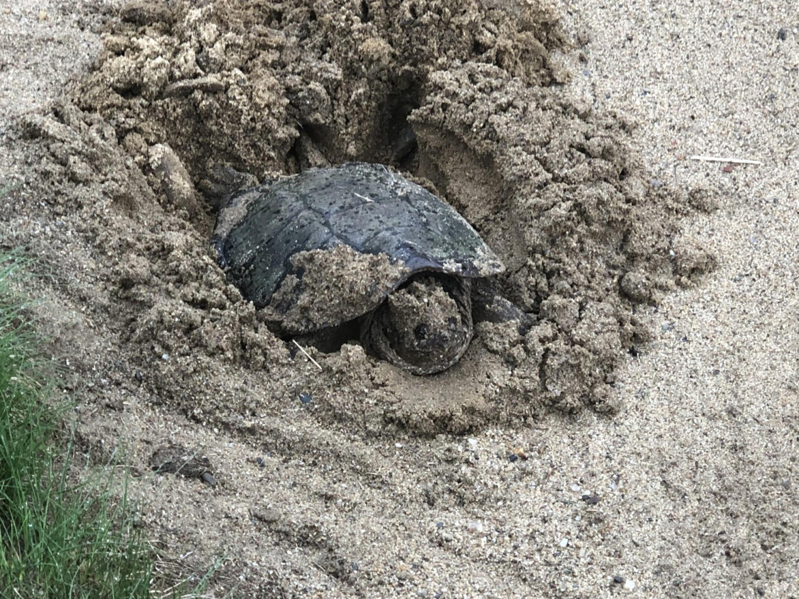 Click image for larger version  Name:	06.jpg Views:	0 Size:	501.3 KB ID:	153291