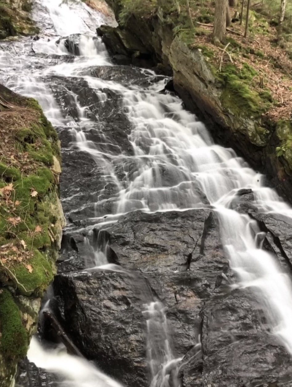 Click image for larger version

Name:	11.jpg
Views:	56
Size:	465.7 KB
ID:	153298