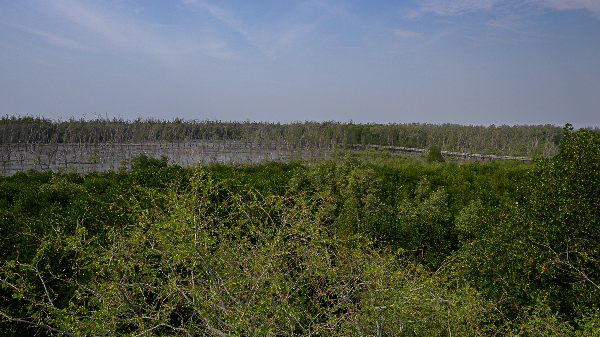 Click image for larger version

Name:	bridge-3.jpg
Views:	123
Size:	1.09 MB
ID:	153450