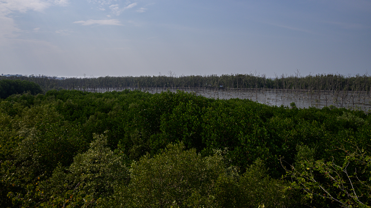 Click image for larger version

Name:	bridge-4.jpg
Views:	89
Size:	942.2 KB
ID:	153451