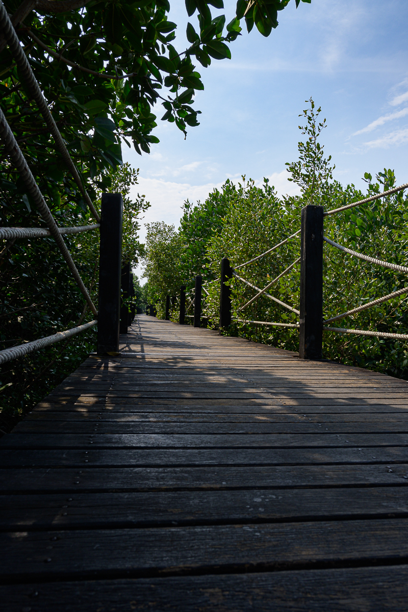 Click image for larger version

Name:	bridge-2.jpg
Views:	95
Size:	1.01 MB
ID:	153453