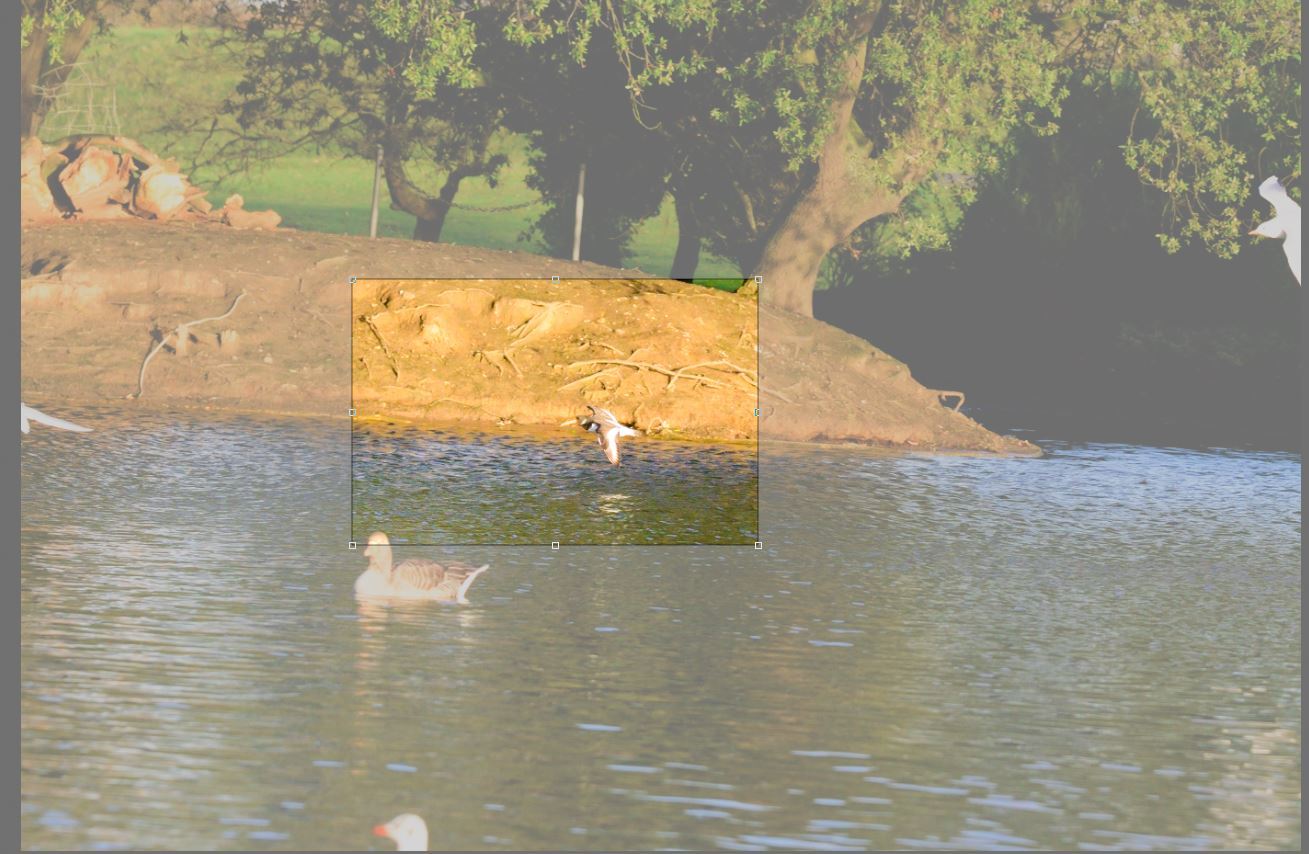 Click image for larger version

Name:	49187816446_c2b1244283_o.jpg
Views:	59
Size:	164.3 KB
ID:	153474