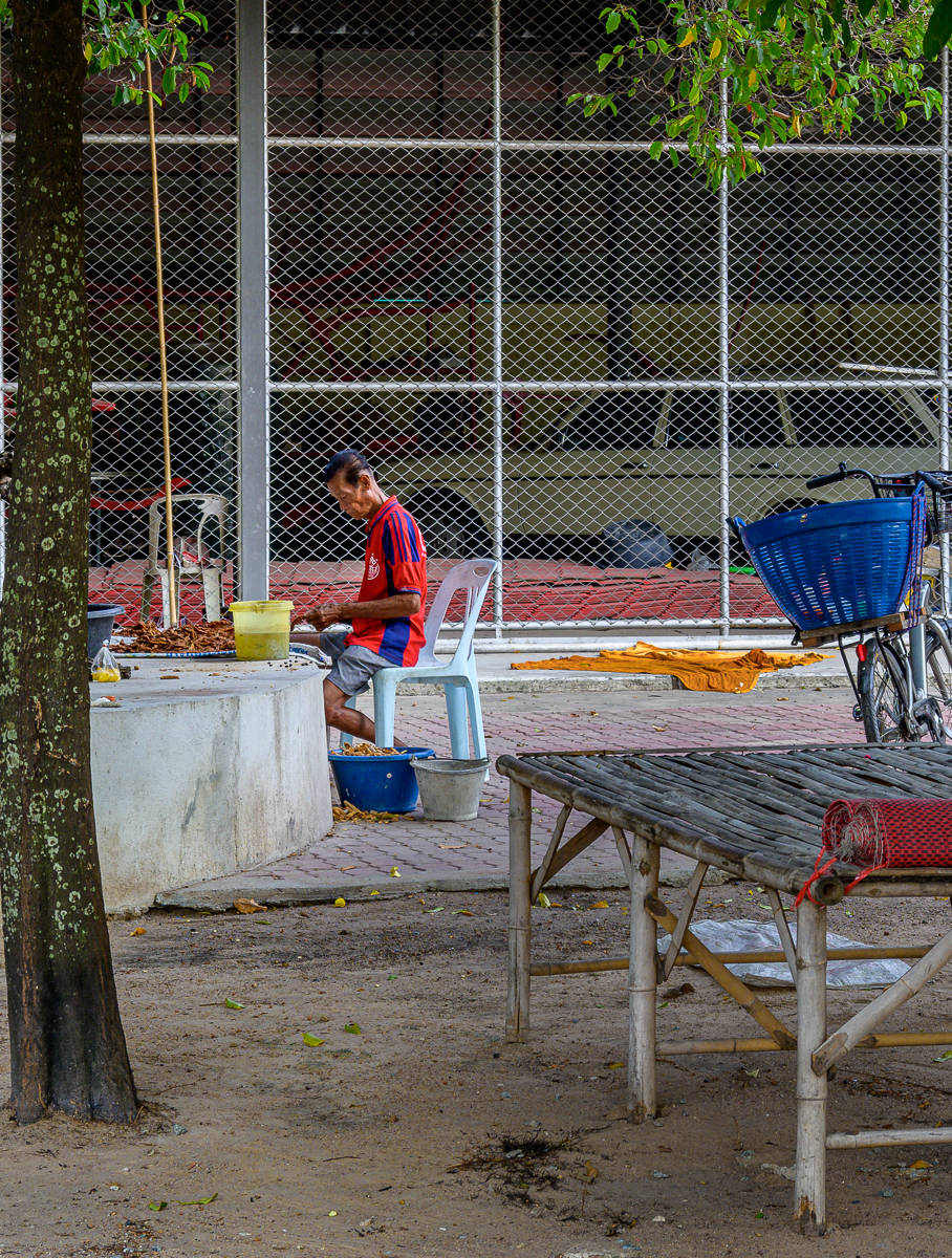 Click image for larger version

Name:	seeds.jpg
Views:	110
Size:	1.70 MB
ID:	153502