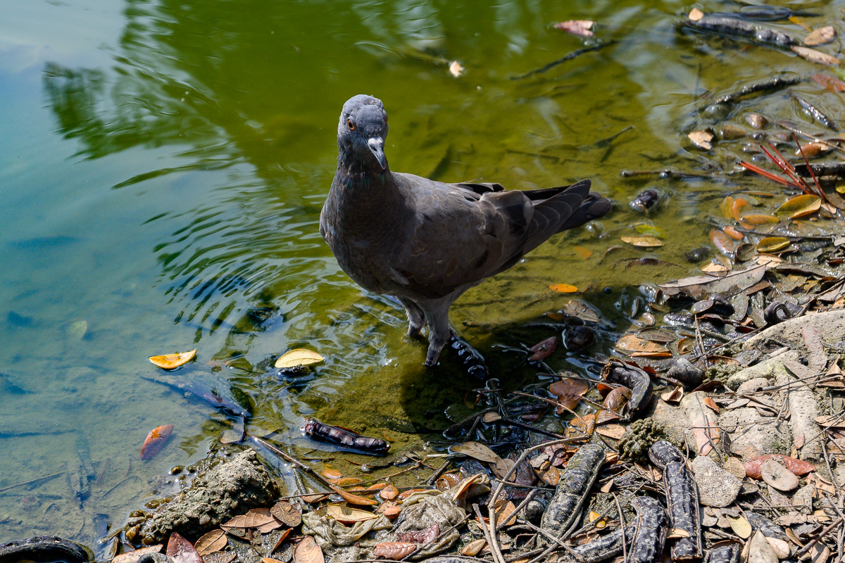 Click image for larger version

Name:	ิรพกห-3.jpg
Views:	33
Size:	1.32 MB
ID:	153531