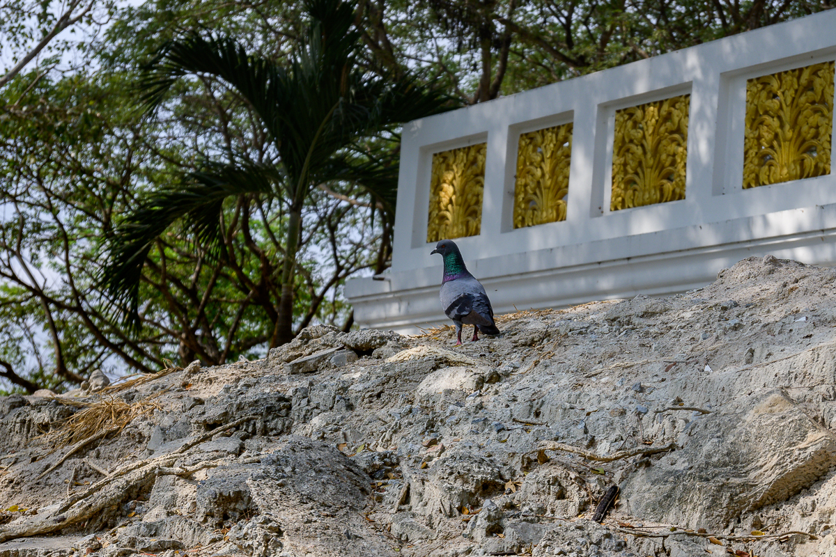 Click image for larger version

Name:	ิรพกห-5.jpg
Views:	30
Size:	1.29 MB
ID:	153532