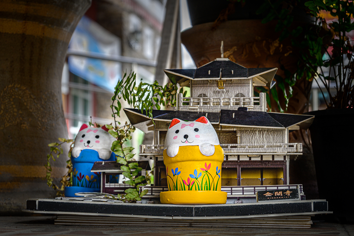 Click image for larger version

Name:	cat-1.jpg
Views:	174
Size:	1.03 MB
ID:	153606