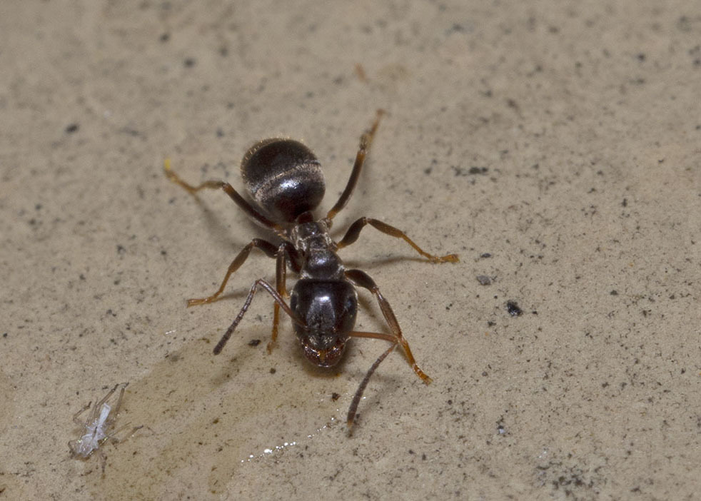 Click image for larger version

Name:	48142102116_f96ea994aa_o.jpg
Views:	90
Size:	168.5 KB
ID:	153651