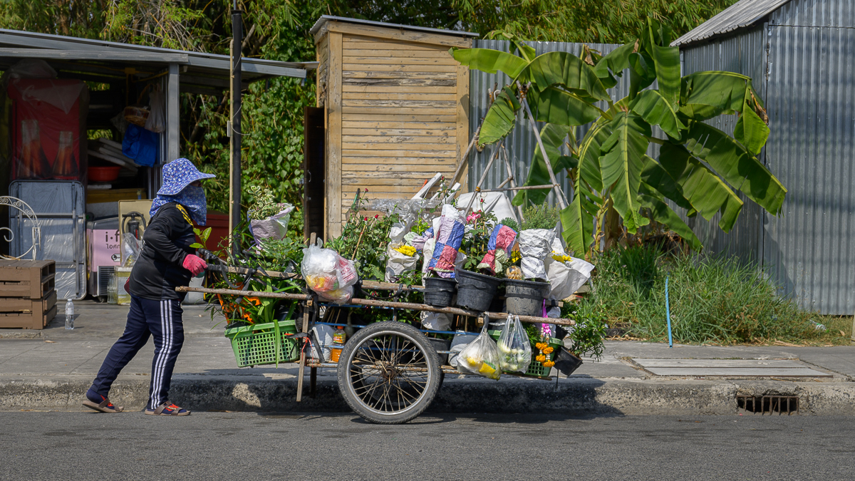 Click image for larger version

Name:	flower-lady-1.jpg
Views:	145
Size:	1,005.3 KB
ID:	153698