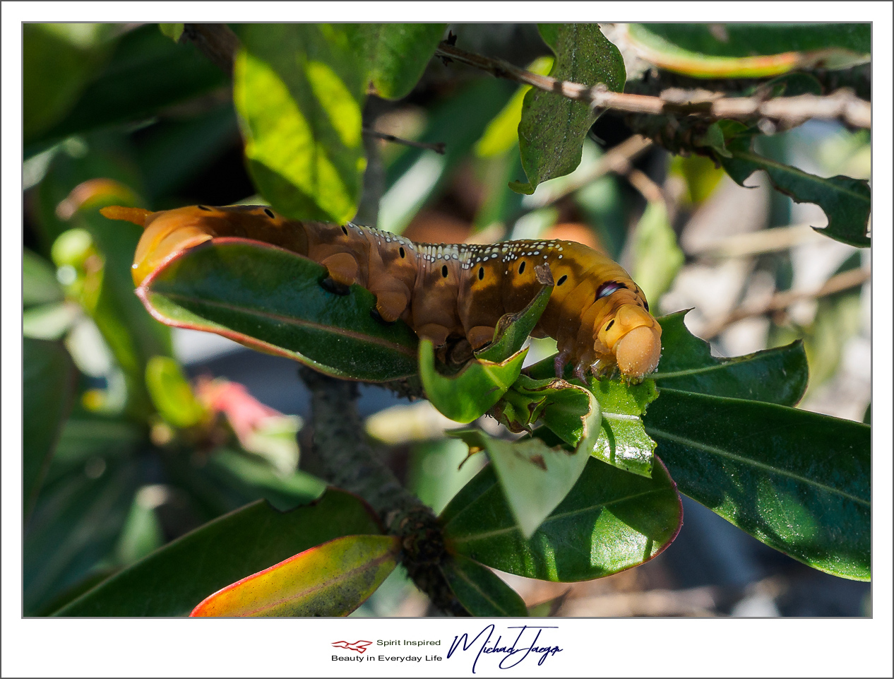 Click image for larger version

Name:	brakfast-2.jpg
Views:	88
Size:	657.6 KB
ID:	153758