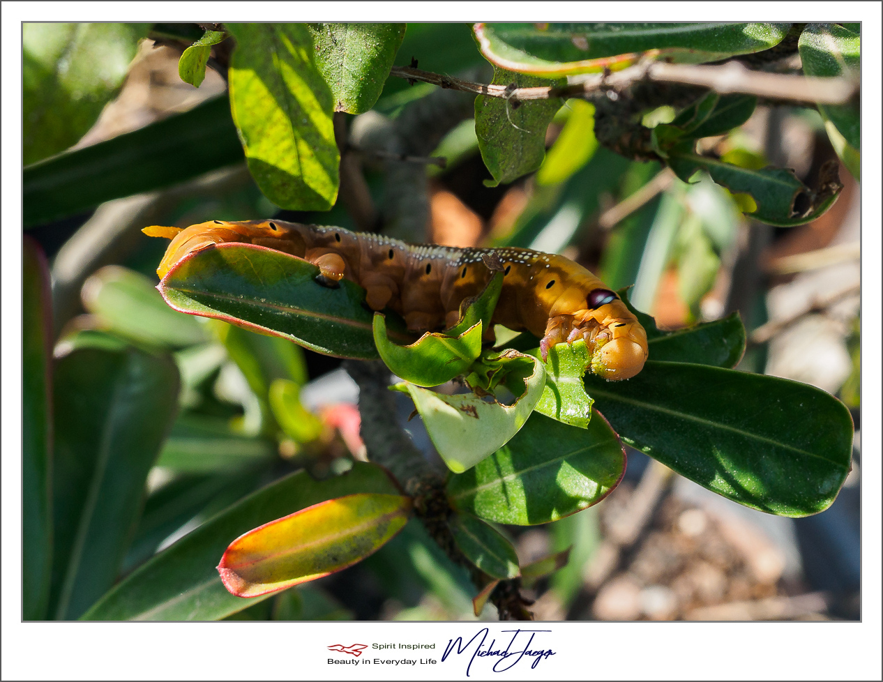 Click image for larger version

Name:	brakfast-1.jpg
Views:	79
Size:	687.0 KB
ID:	153759