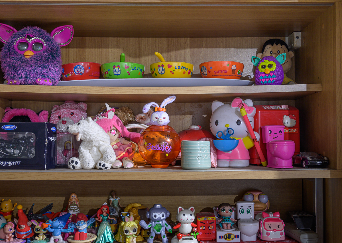 Click image for larger version

Name:	shelf-1.jpg
Views:	163
Size:	1.05 MB
ID:	153787