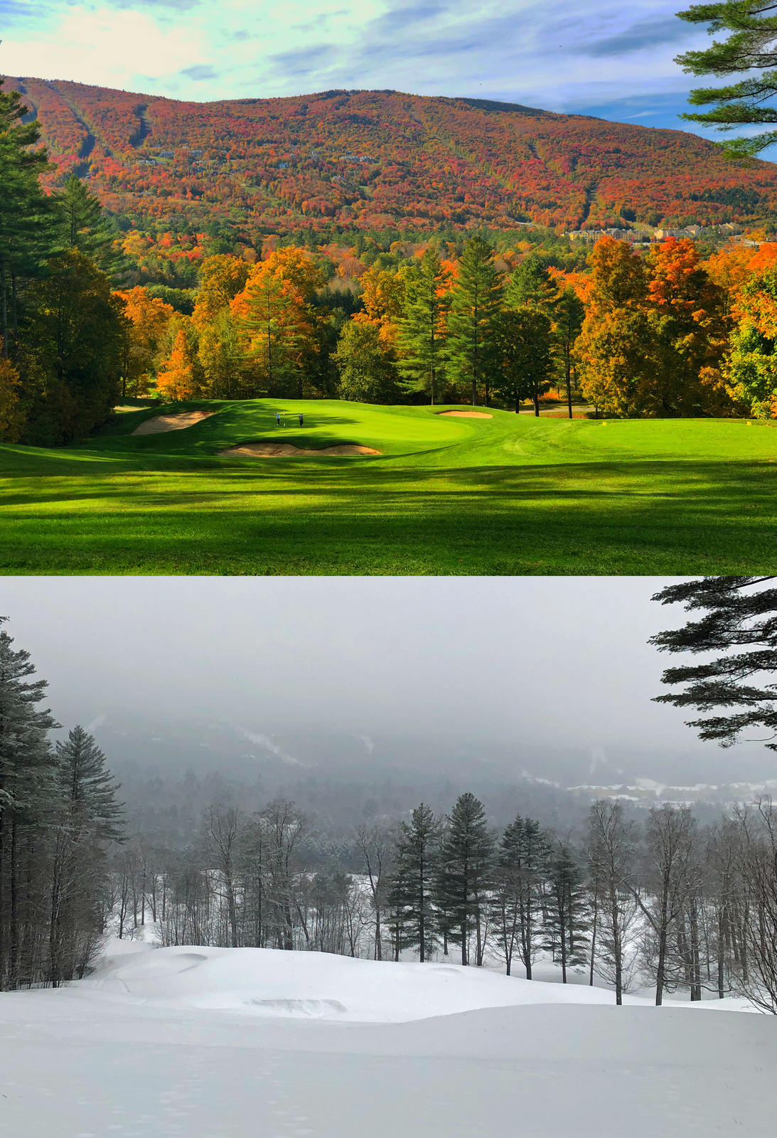 Click image for larger version  Name:	ovgc 8th hole summer and winter.jpg Views:	0 Size:	405.1 KB ID:	153820