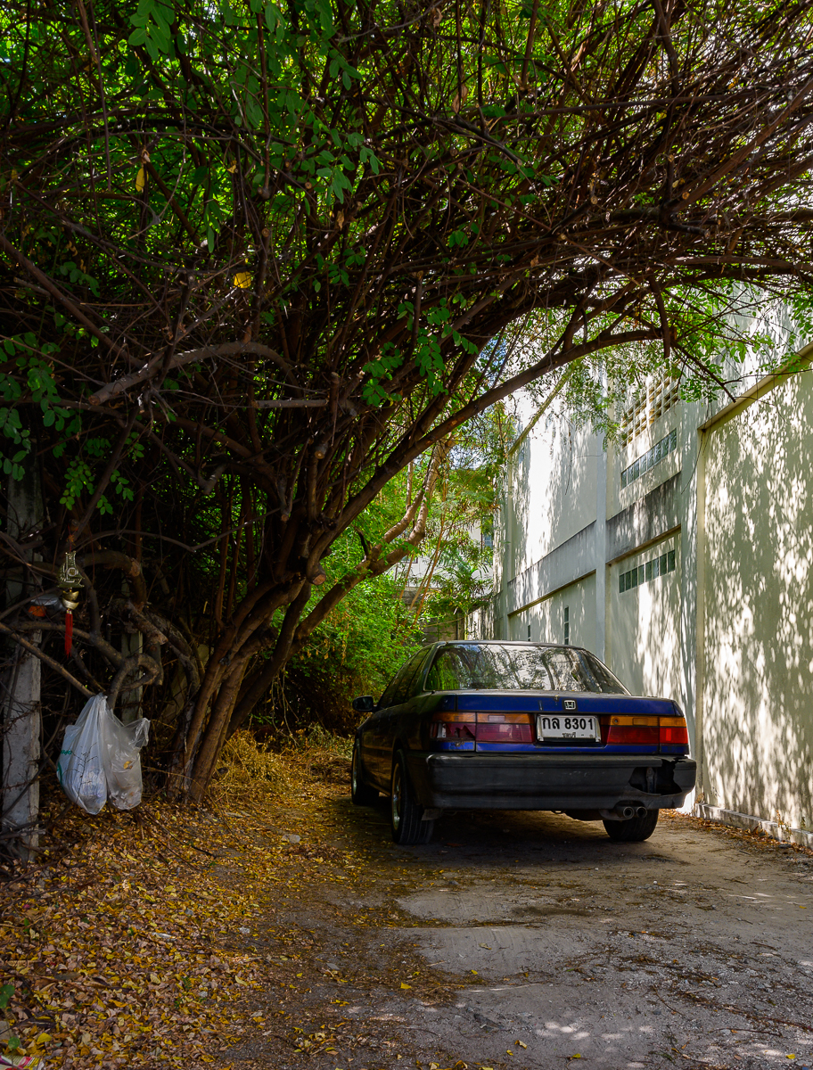 Click image for larger version

Name:	shadow-seeking-1.jpg
Views:	161
Size:	1.68 MB
ID:	153825