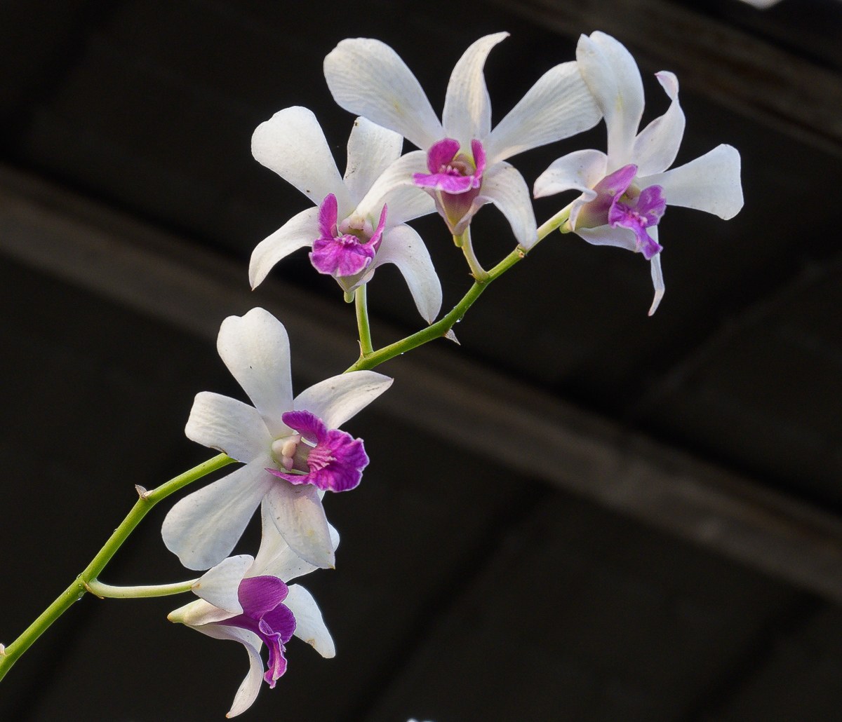 Click image for larger version

Name:	o-1-2.jpg
Views:	59
Size:	667.5 KB
ID:	153827