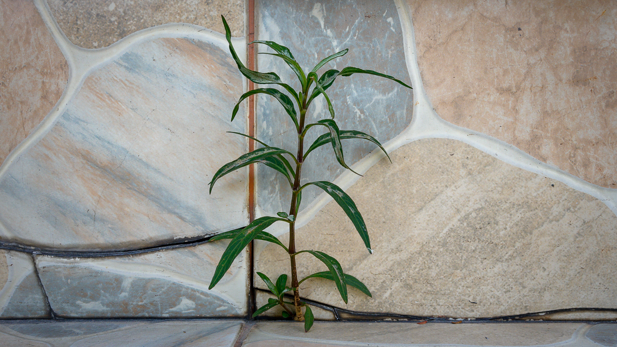 Click image for larger version

Name:	braking-through-1.jpg
Views:	118
Size:	977.3 KB
ID:	153863