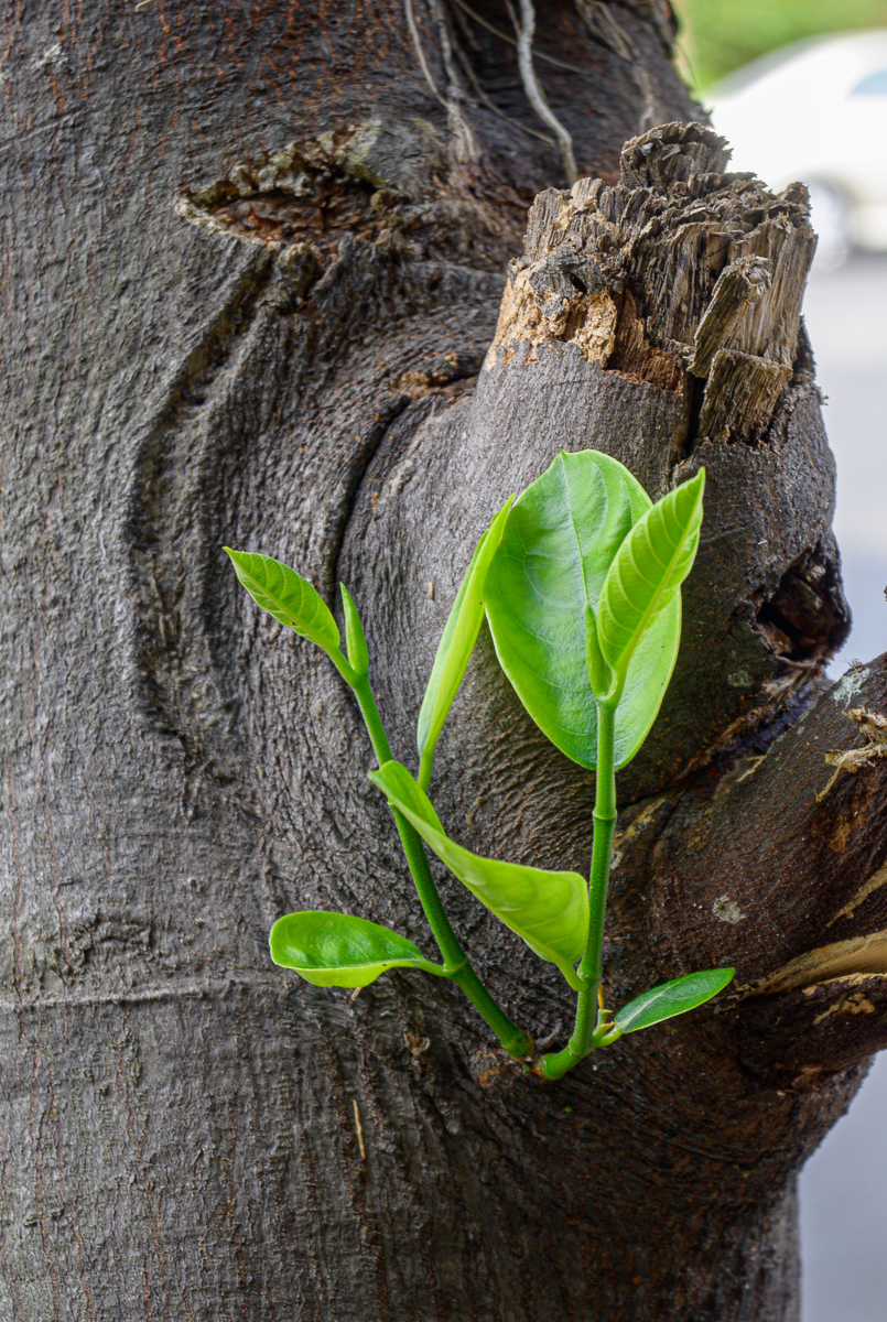 Click image for larger version

Name:	new-1.jpg
Views:	113
Size:	1.25 MB
ID:	153865