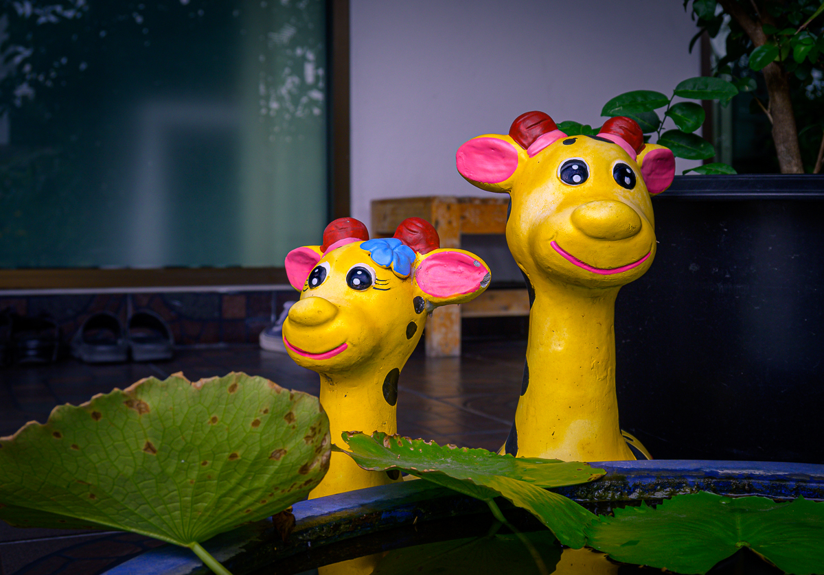 Click image for larger version

Name:	smile-1-2.jpg
Views:	176
Size:	974.4 KB
ID:	153934