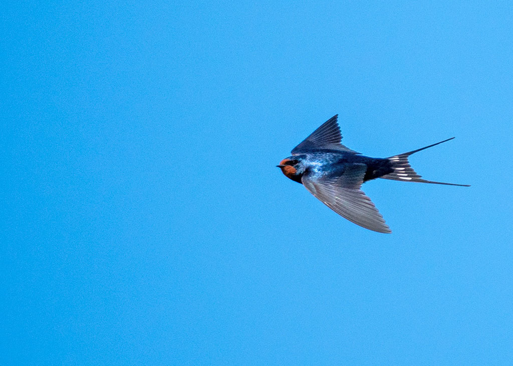 Click image for larger version

Name:	P1004247.jpg
Views:	43
Size:	164.4 KB
ID:	154008