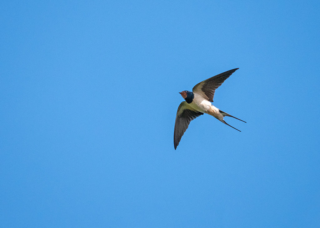 Click image for larger version

Name:	P1004644.jpg
Views:	43
Size:	96.1 KB
ID:	154009