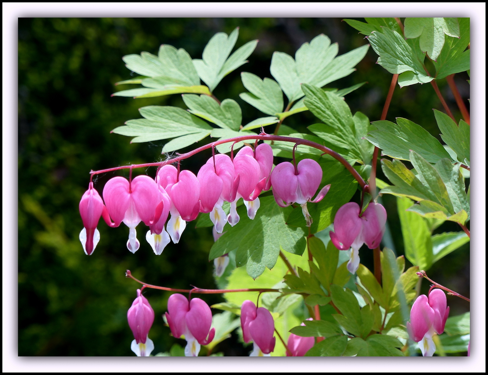 Click image for larger version  Name:	P1010166.JPG Views:	0 Size:	763.7 KB ID:	154038