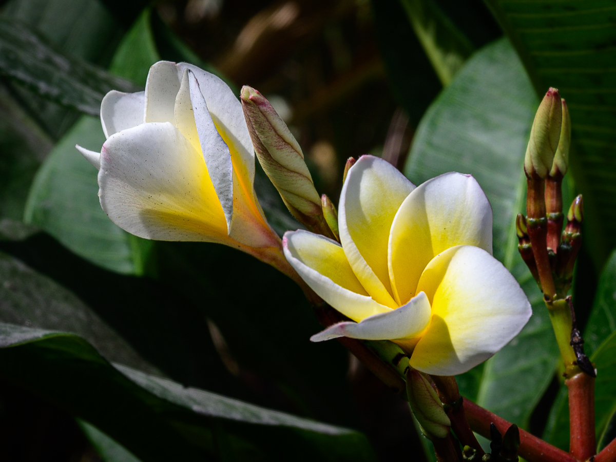 Click image for larger version

Name:	ye-w-1.jpg
Views:	238
Size:	710.0 KB
ID:	154138