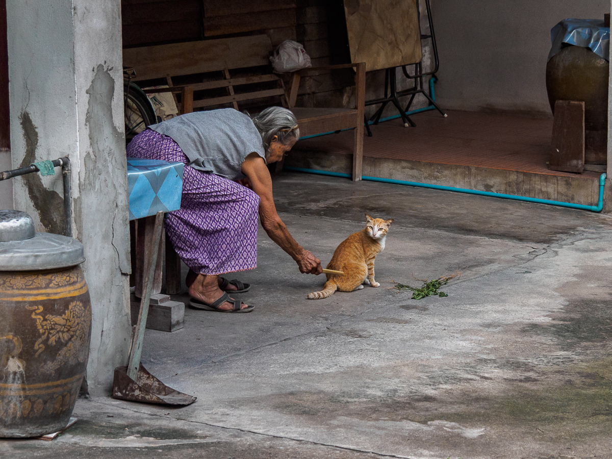 Click image for larger version

Name:	cat-care-1.jpg
Views:	127
Size:	1.00 MB
ID:	154219