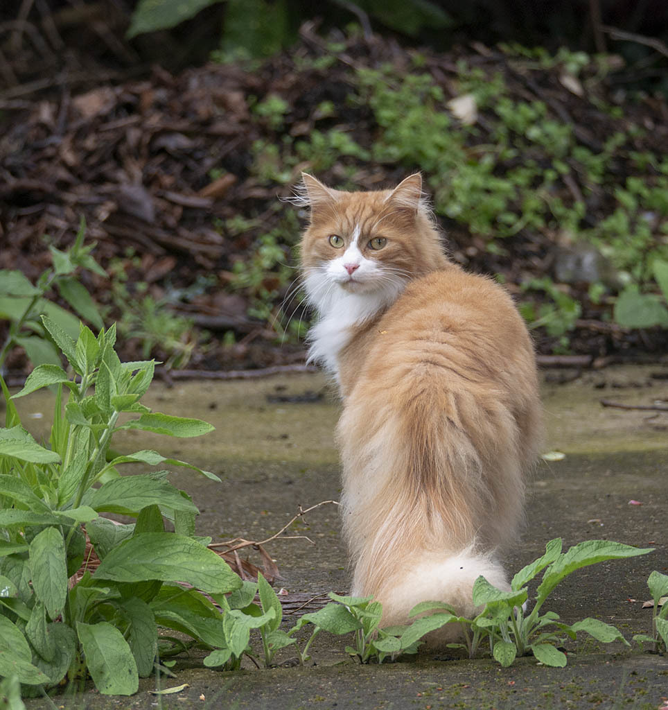 Click image for larger version

Name:	P1130353.jpg
Views:	82
Size:	240.2 KB
ID:	154257