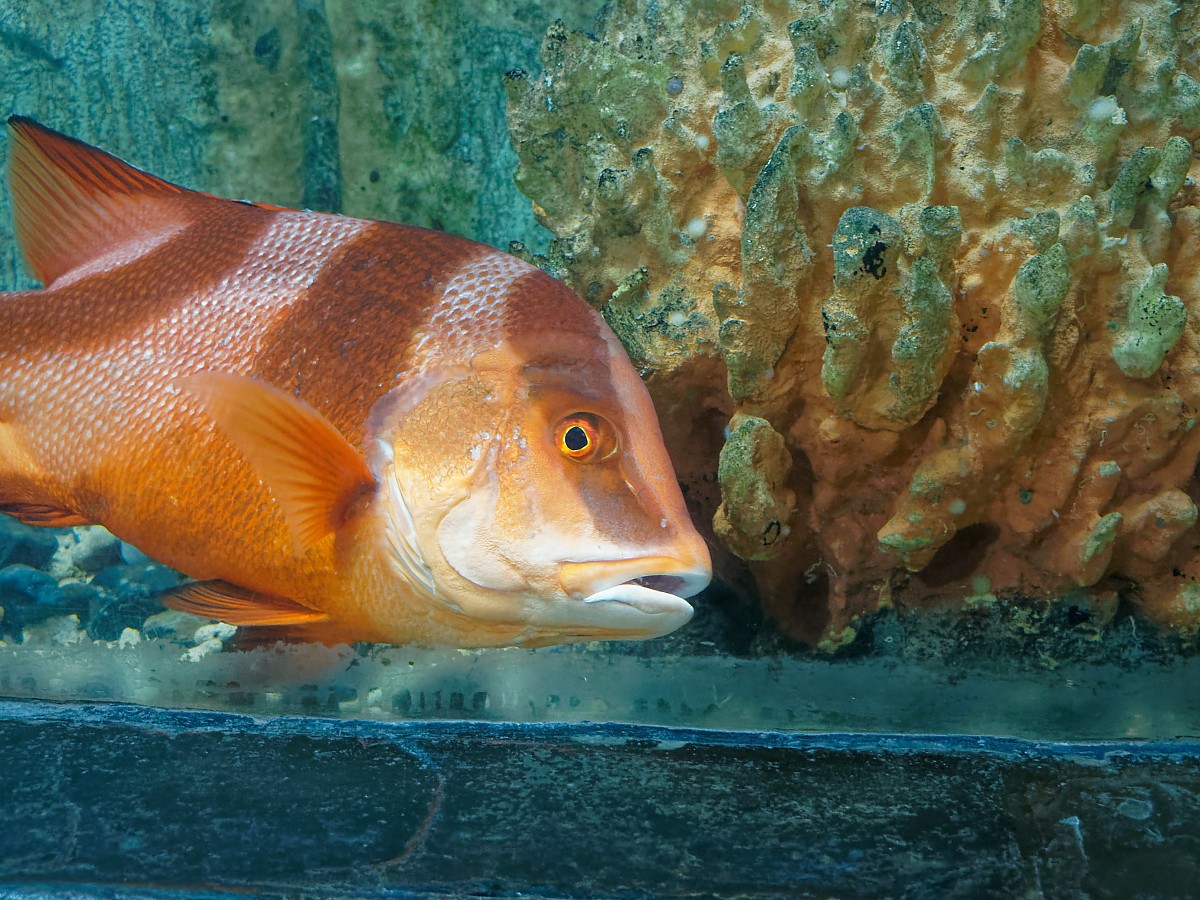 Click image for larger version

Name:	P4130195_DxO.jpg
Views:	78
Size:	1.57 MB
ID:	154262