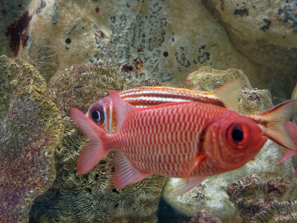 Click image for larger version

Name:	P4130190_DxO.jpg
Views:	71
Size:	1.49 MB
ID:	154265