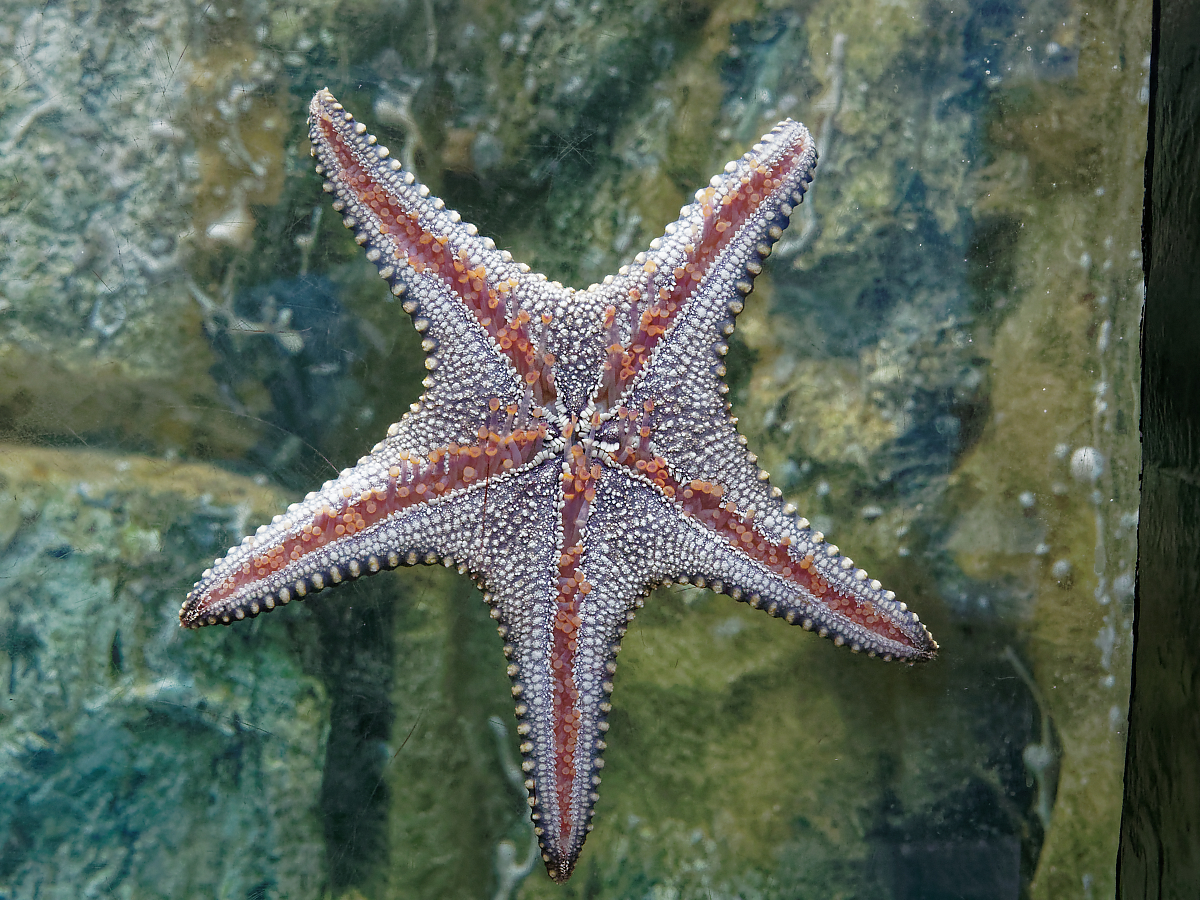 Click image for larger version

Name:	P4130198_DxO.jpg
Views:	72
Size:	1.37 MB
ID:	154268