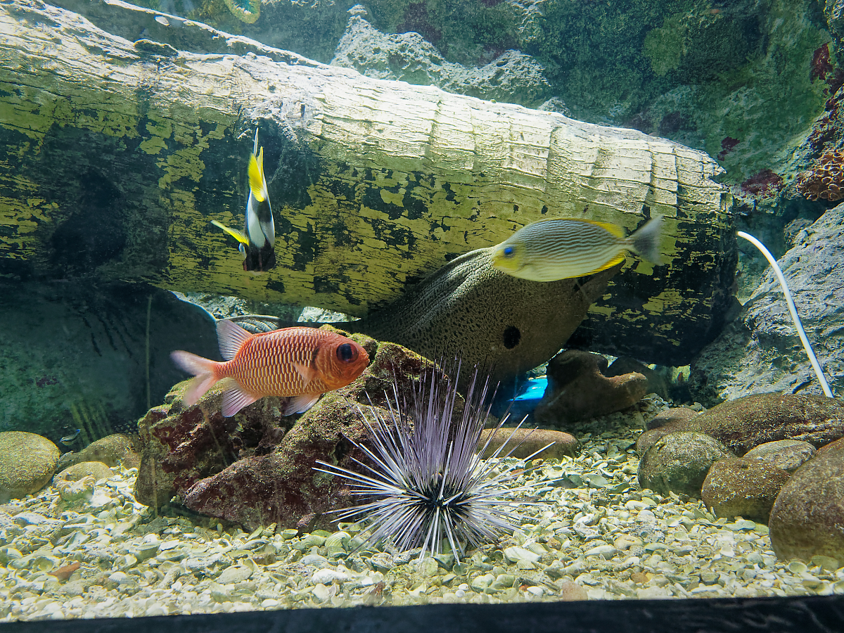 Click image for larger version

Name:	P4130205_DxO.jpg
Views:	65
Size:	2.00 MB
ID:	154273