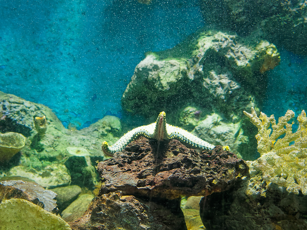 Click image for larger version

Name:	P4130204_DxO.jpg
Views:	76
Size:	1.91 MB
ID:	154274