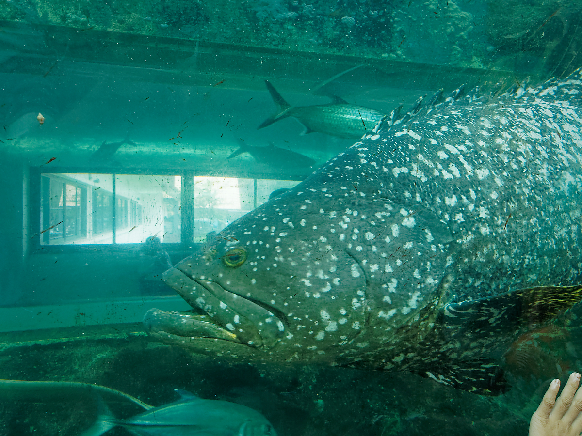 Click image for larger version

Name:	P4130206_DxO.jpg
Views:	71
Size:	1.58 MB
ID:	154276