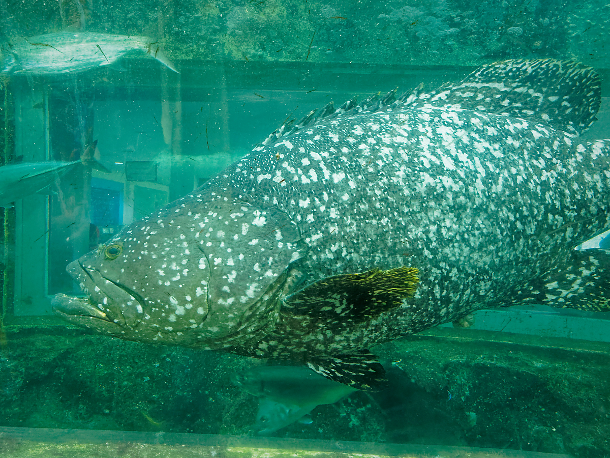 Click image for larger version

Name:	P4130207_DxO.jpg
Views:	72
Size:	1.80 MB
ID:	154278