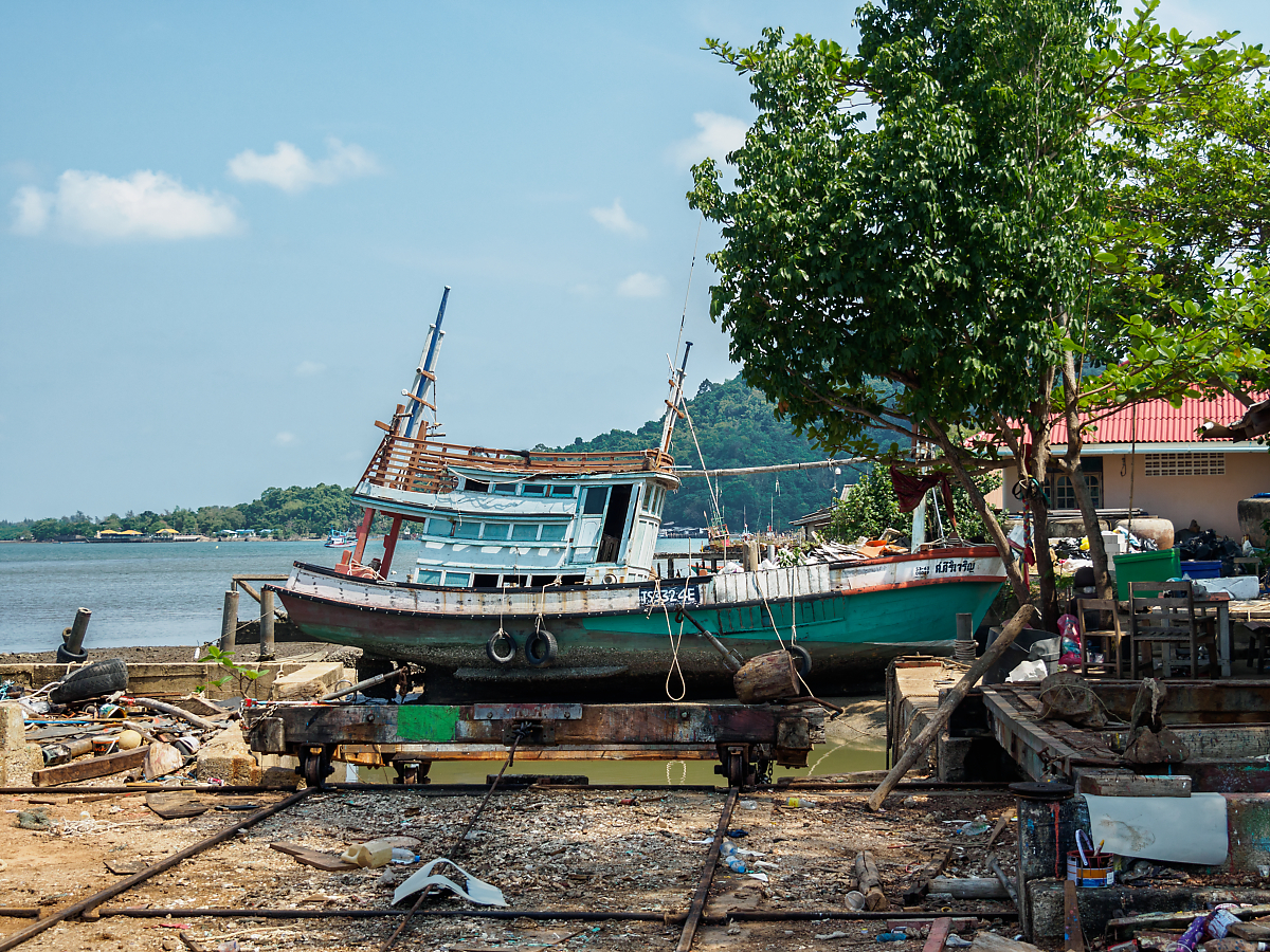 Click image for larger version

Name:	P4120093-Edit_DxO.jpg
Views:	90
Size:	1.74 MB
ID:	154335