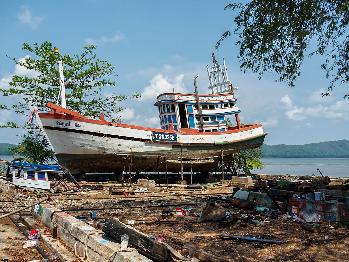 Click image for larger version

Name:	P4120091-Edit_DxO.jpg
Views:	81
Size:	1.77 MB
ID:	154337