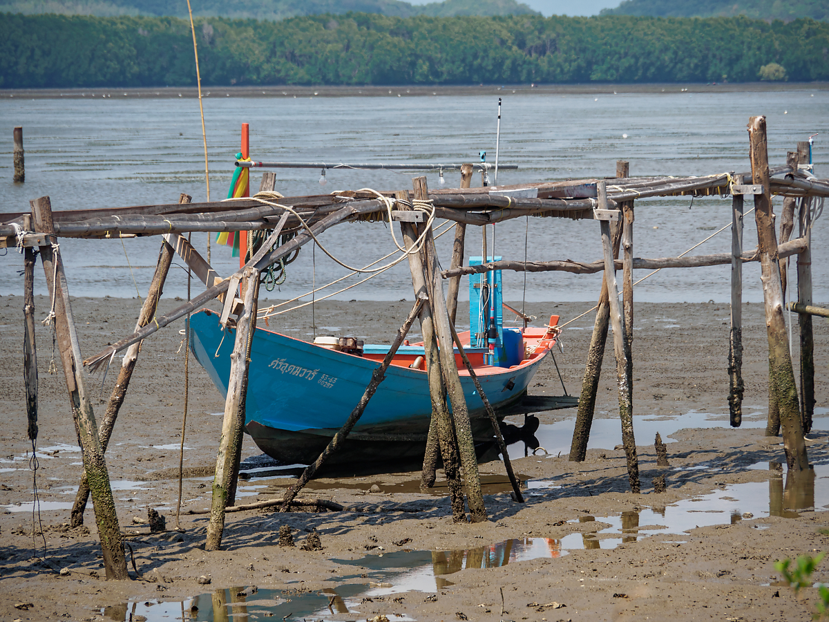 Click image for larger version

Name:	P4120092-Edit_DxO.jpg
Views:	83
Size:	1.64 MB
ID:	154336