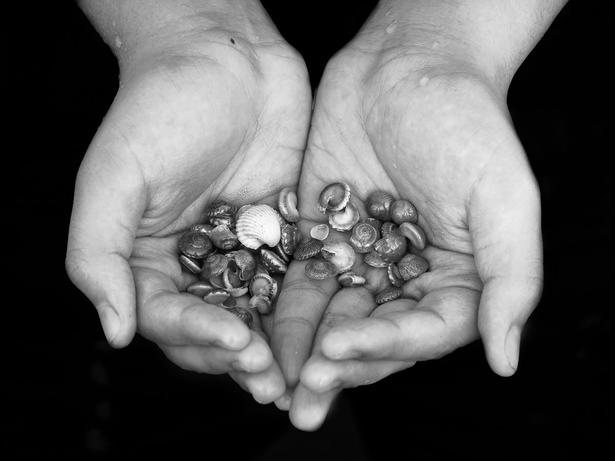 Click image for larger version

Name:	P4120150-Edit_DxO.jpg
Views:	114
Size:	443.8 KB
ID:	154345