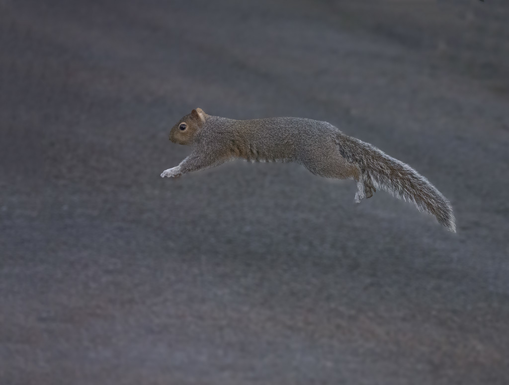 Click image for larger version

Name:	P1090878.jpg
Views:	45
Size:	116.0 KB
ID:	154360