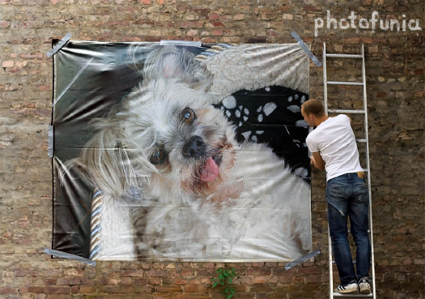 Click image for larger version

Name:	PhotoFunia-1582489461.jpg
Views:	116
Size:	105.7 KB
ID:	154397