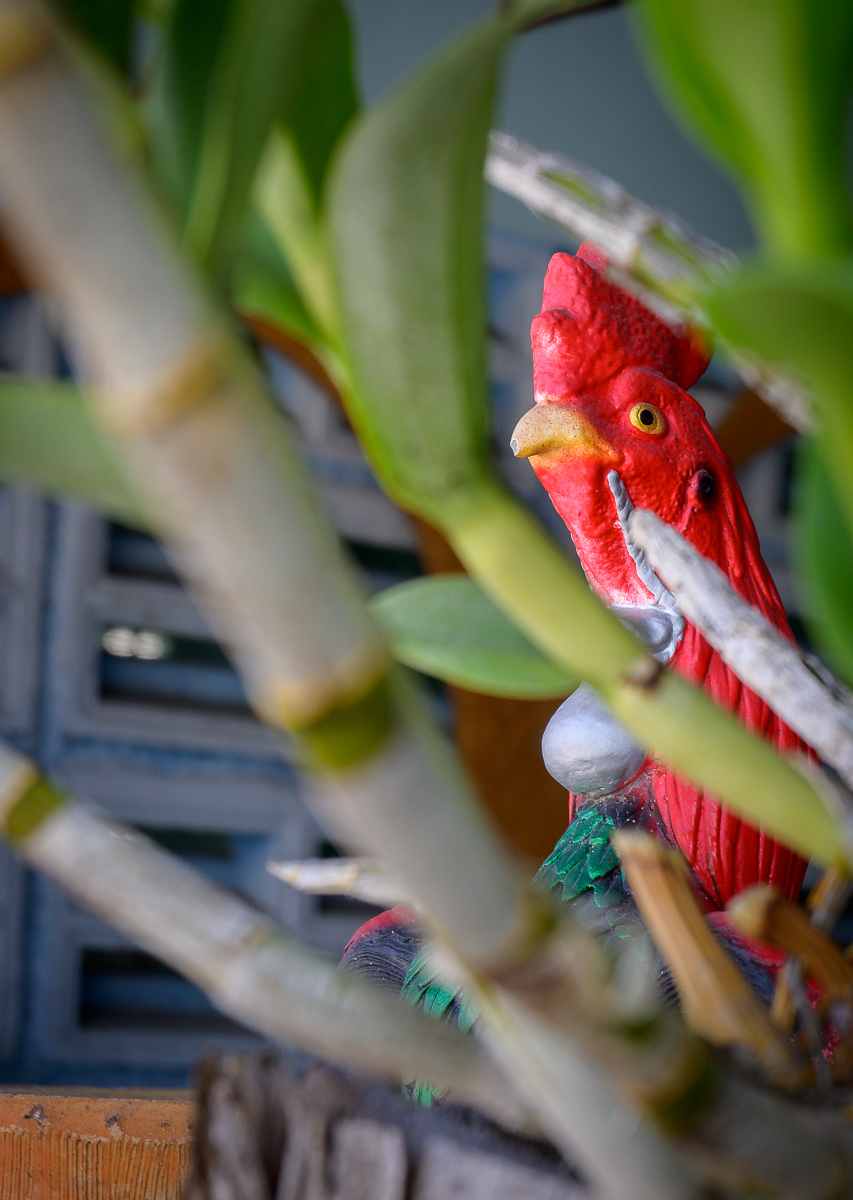 Click image for larger version  Name:	urban-3.jpg Views:	0 Size:	787.7 KB ID:	154411