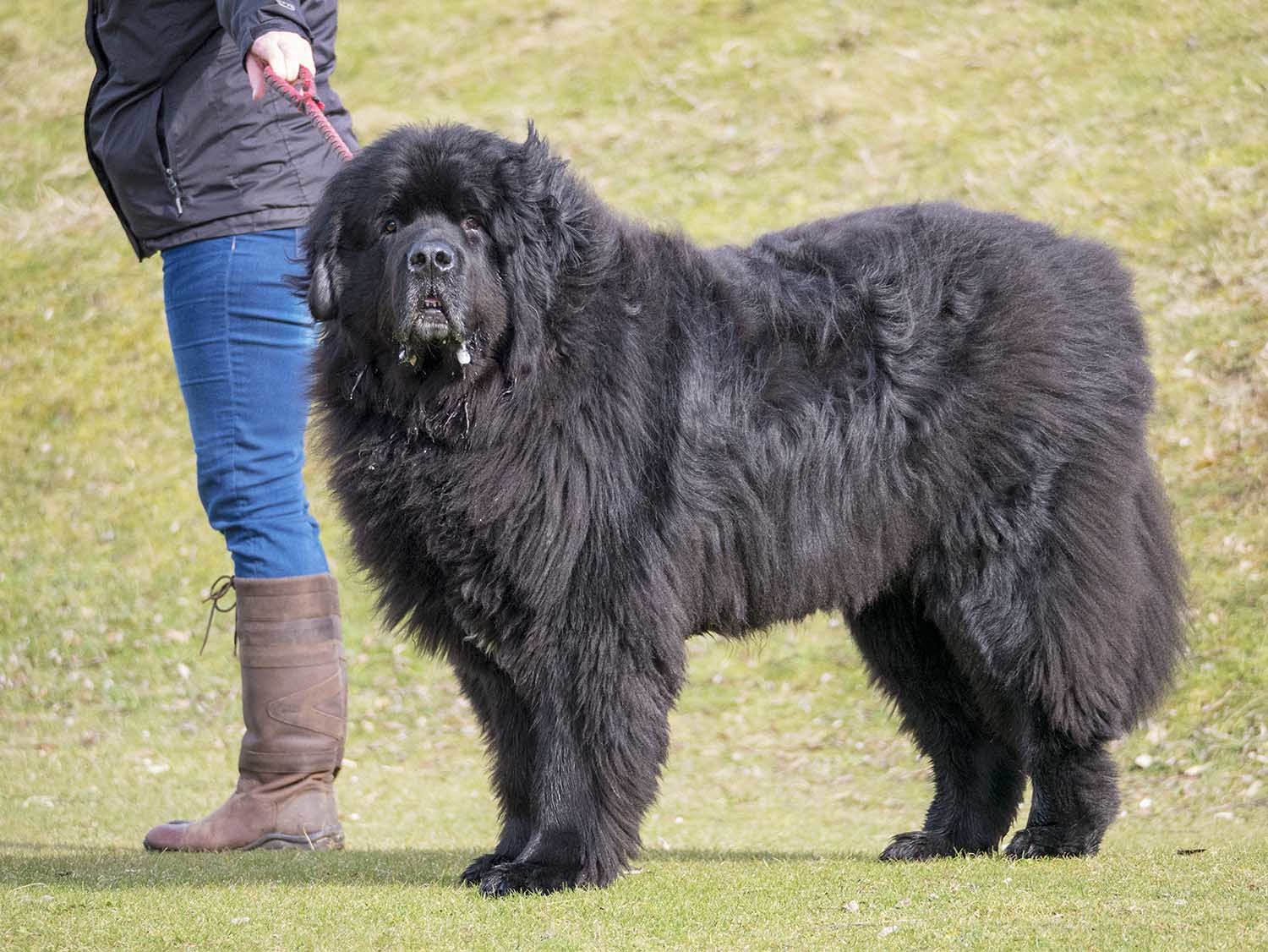 Click image for larger version

Name:	P1110700.jpg
Views:	69
Size:	271.9 KB
ID:	154438