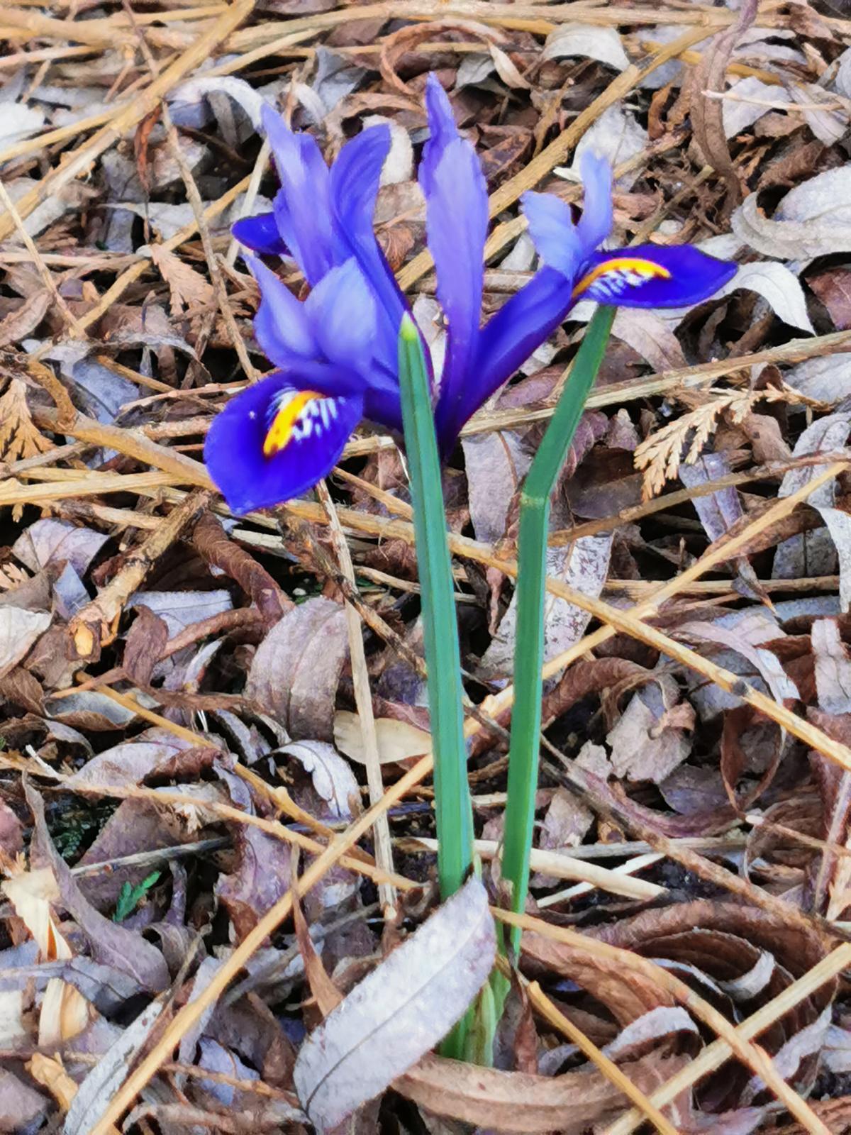 Click image for larger version

Name:	IMG_20200212_161555.jpg
Views:	73
Size:	376.3 KB
ID:	154451