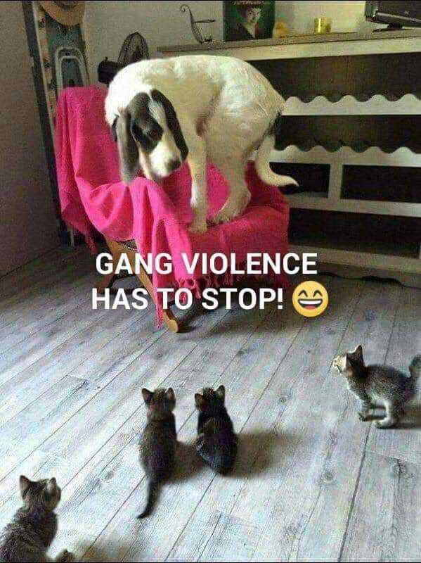 Click image for larger version

Name:	gang.jpg
Views:	125
Size:	62.8 KB
ID:	154479