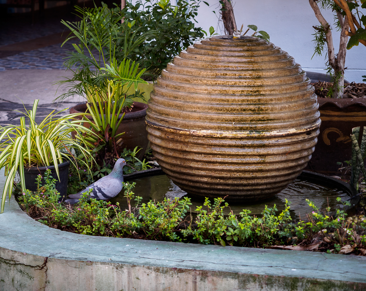 Click image for larger version

Name:	wow-my-egg-1.jpg
Views:	86
Size:	1.46 MB
ID:	154490