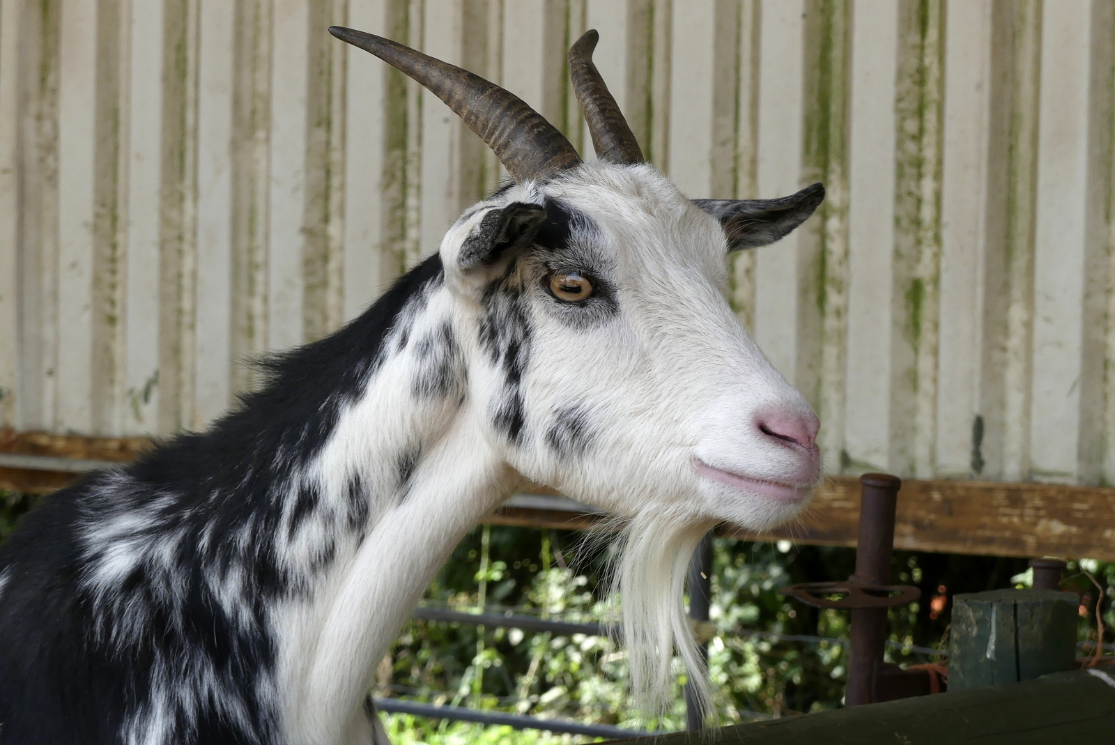 Click image for larger version

Name:	_1020633.JPG
Views:	103
Size:	729.8 KB
ID:	154506