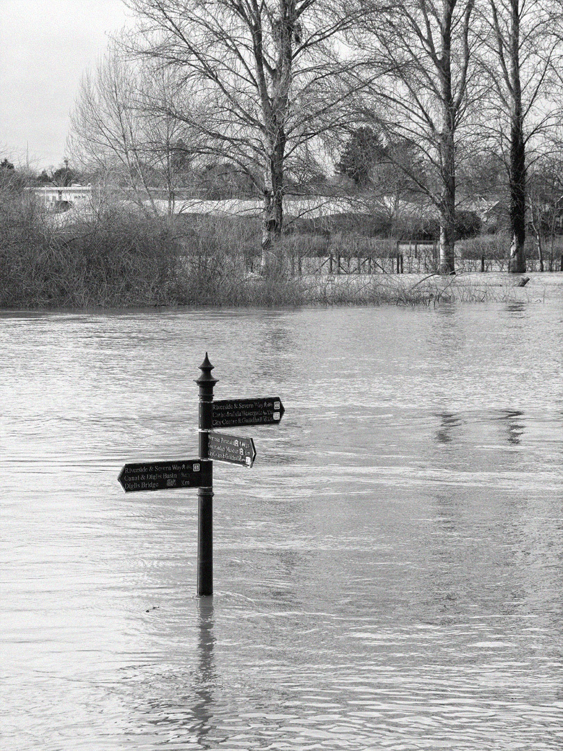 Click image for larger version

Name:	P2248146.jpg
Views:	107
Size:	645.8 KB
ID:	154510